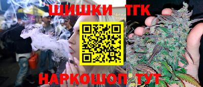 тгк Гусев