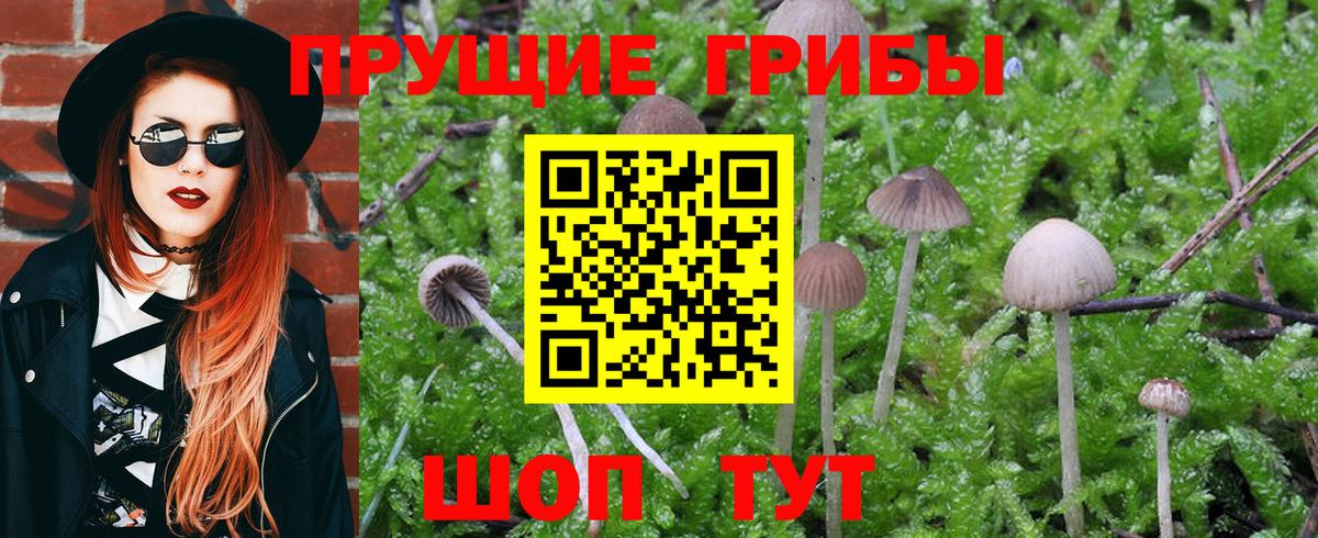 Галлюциногенные грибы MAGIC MUSHROOMS Кулебаки